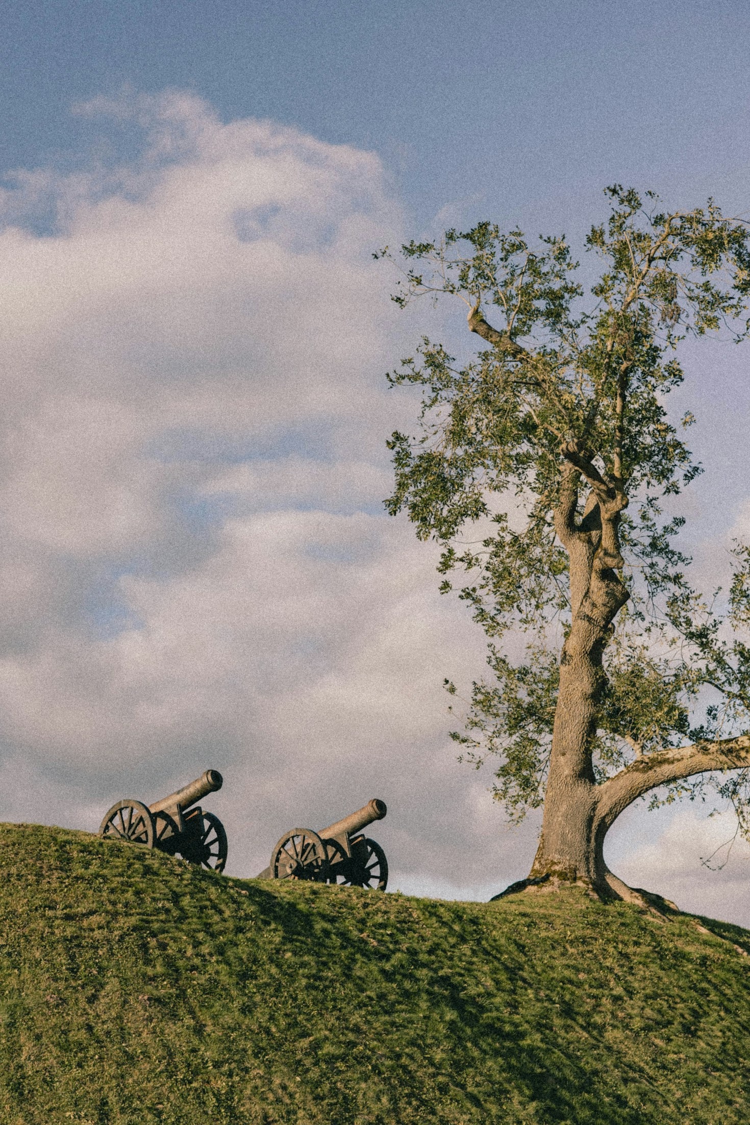 Die Rolle von Museen bei der Geschichtsvermittlung